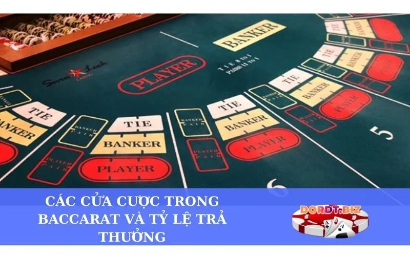 Các cửa cược trong Baccarat và tỷ lệ trả thưởng