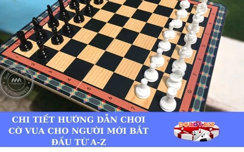 Chi tiết hướng dẫn chơi cờ vua cho người mới bắt đầu từ A-Z