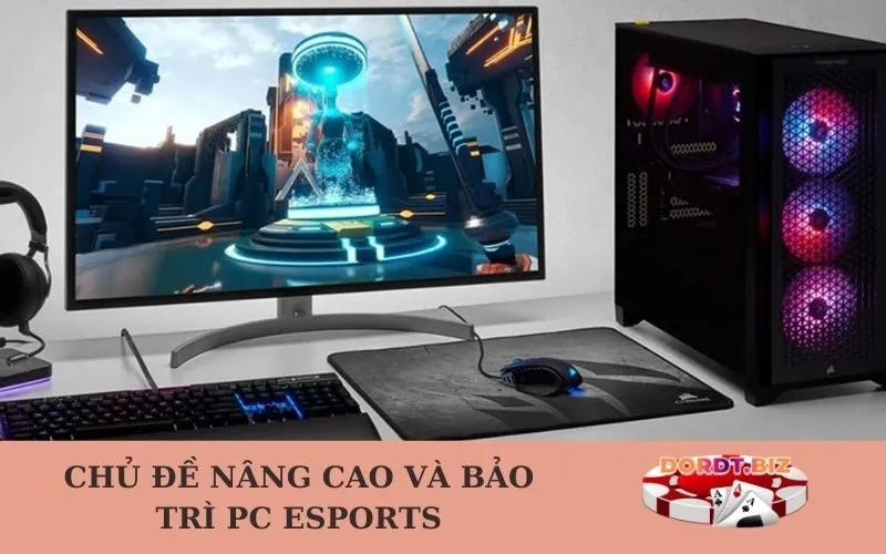 Chủ đề Nâng cao và Bảo trì PC Esports