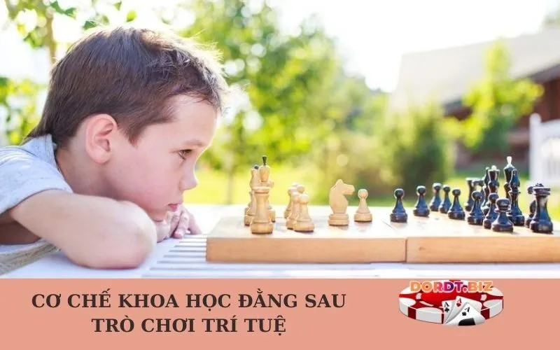 Cơ chế khoa học đằng sau trò chơi trí tuệ