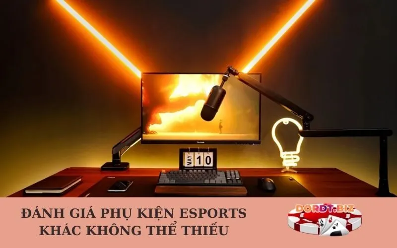 Đánh giá Phụ kiện Esports Khác Không Thể Thiếu