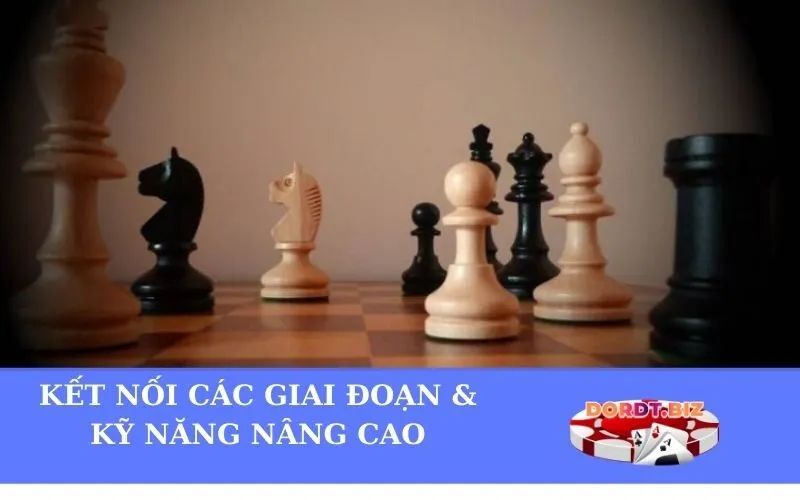 Kết Nối Các Giai Đoạn & Kỹ Năng Nâng Cao