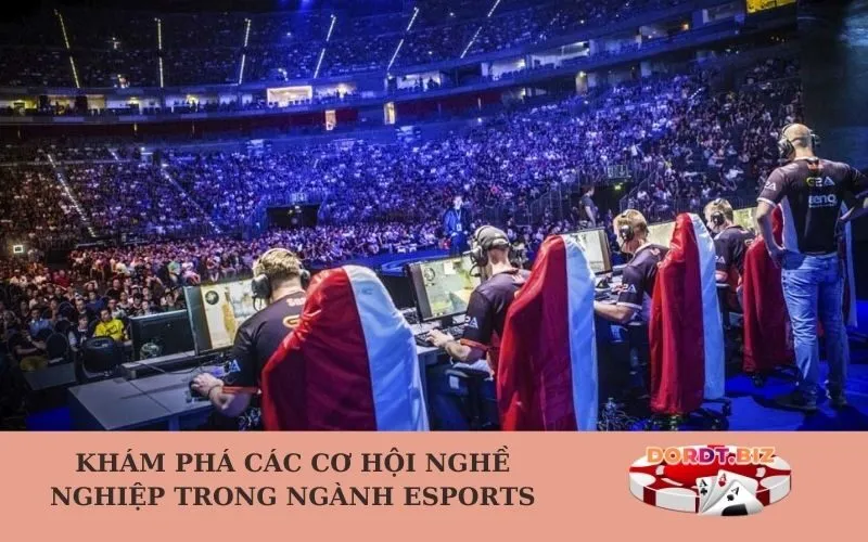 Khám phá các cơ hội nghề nghiệp trong ngành Esports