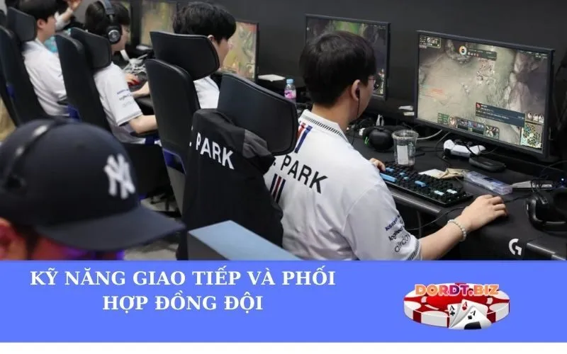 Kỹ Năng Giao Tiếp và Phối Hợp Đồng Đội