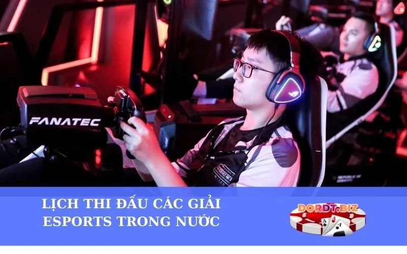 Lịch thi đấu các giải Esports trong nước