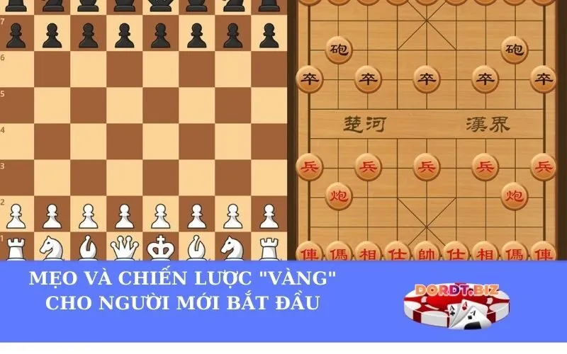 Mẹo và Chiến lược Vàng cho Người mới Bắt đầu