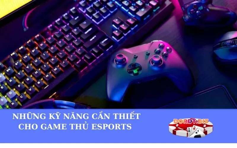 Những kỹ năng cần thiết cho game thủ Esports chuyên nghiệp