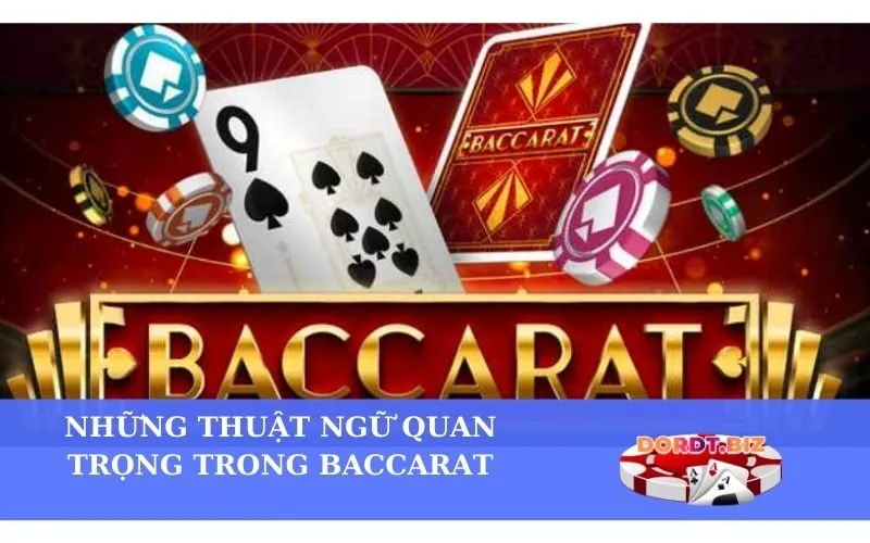 Những thuật ngữ quan trọng trong Baccarat