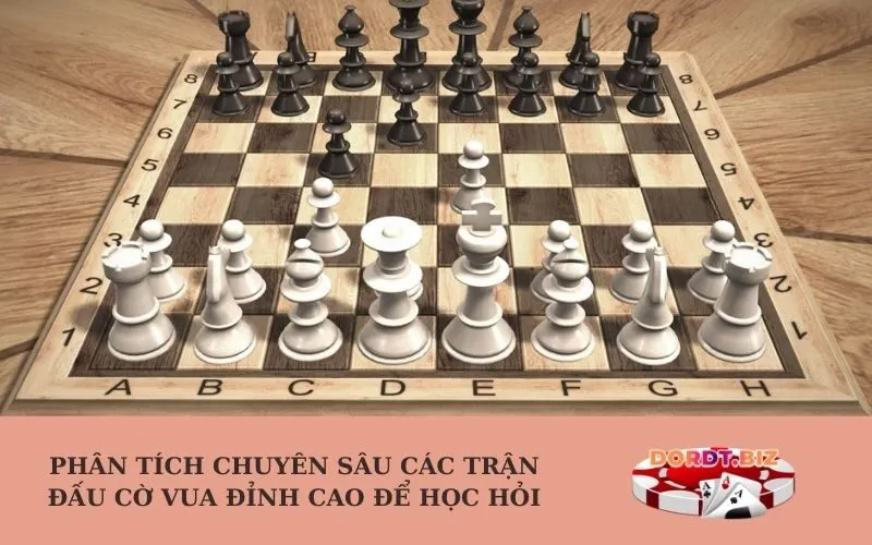 Phân tích chuyên sâu các trận đấu cờ vua đỉnh cao để học hỏi