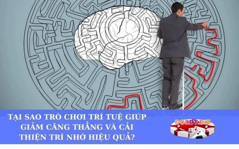 Tại sao Trò Chơi Trí Tuệ Giúp Giảm Căng Thẳng và Cải Thiện Trí Nhớ Hiệu Quả