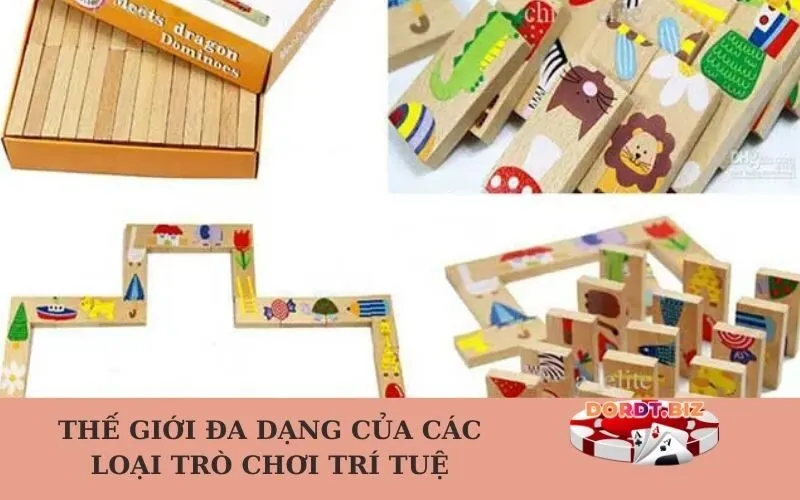Thế giới đa dạng của các loại trò chơi trí tuệ