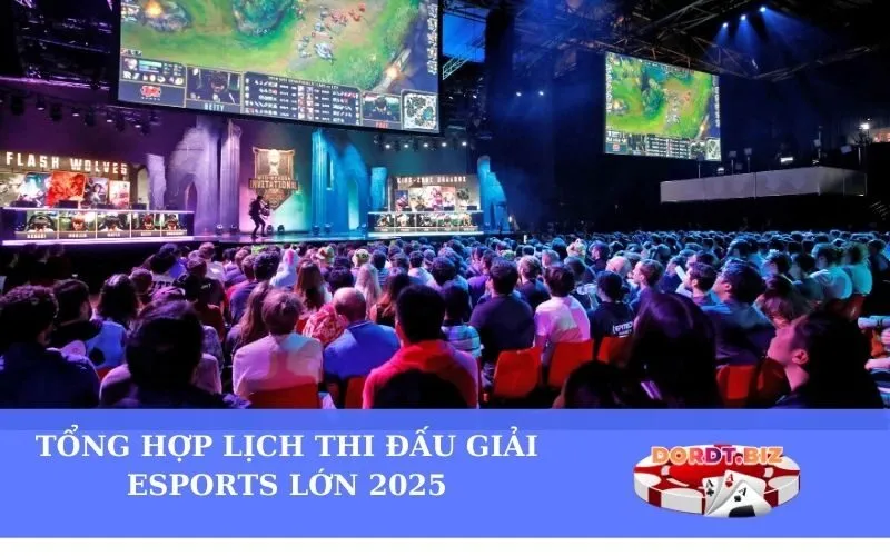 Tổng hợp lịch thi đấu giải Esports lớn 2025