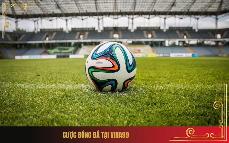 Cược bóng đá tại Vina99