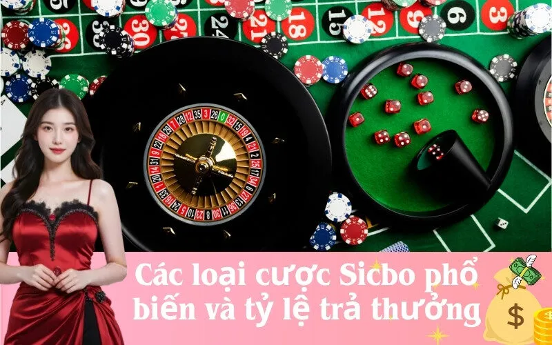 Các loại cược Sicbo phổ biến và tỷ lệ trả thưởng