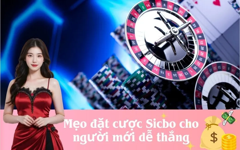 Mẹo đặt cược Sicbo cho người mới dễ thắng