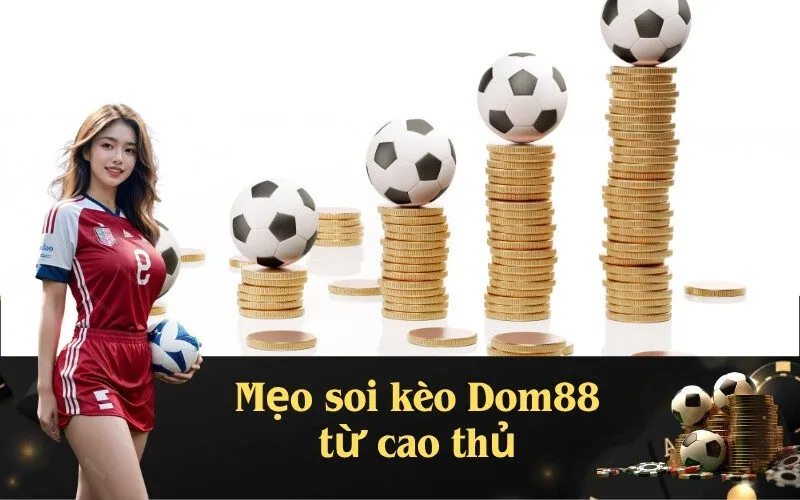 Mẹo soi kèo Dom88 từ cao thủ